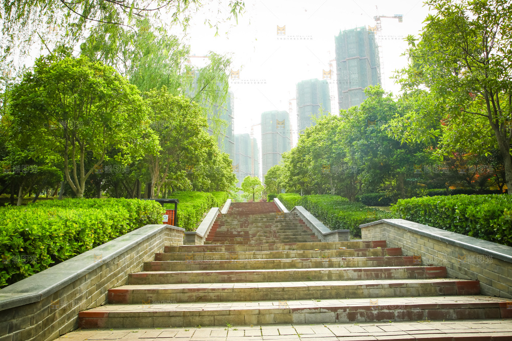 公园里的台阶