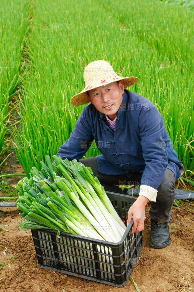 农民手里拿着大葱