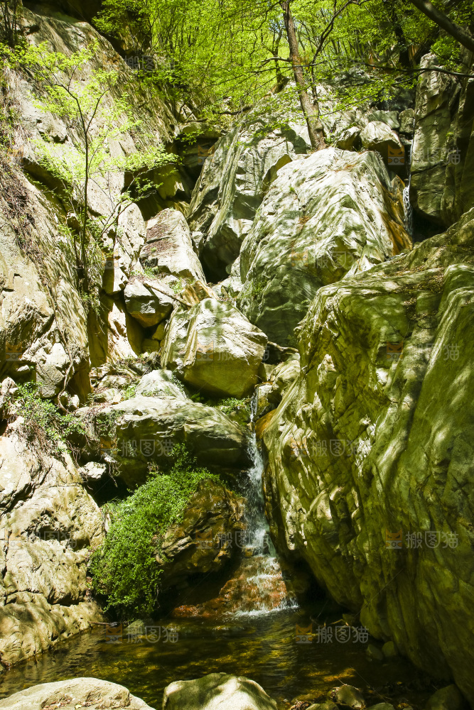 小溪流水