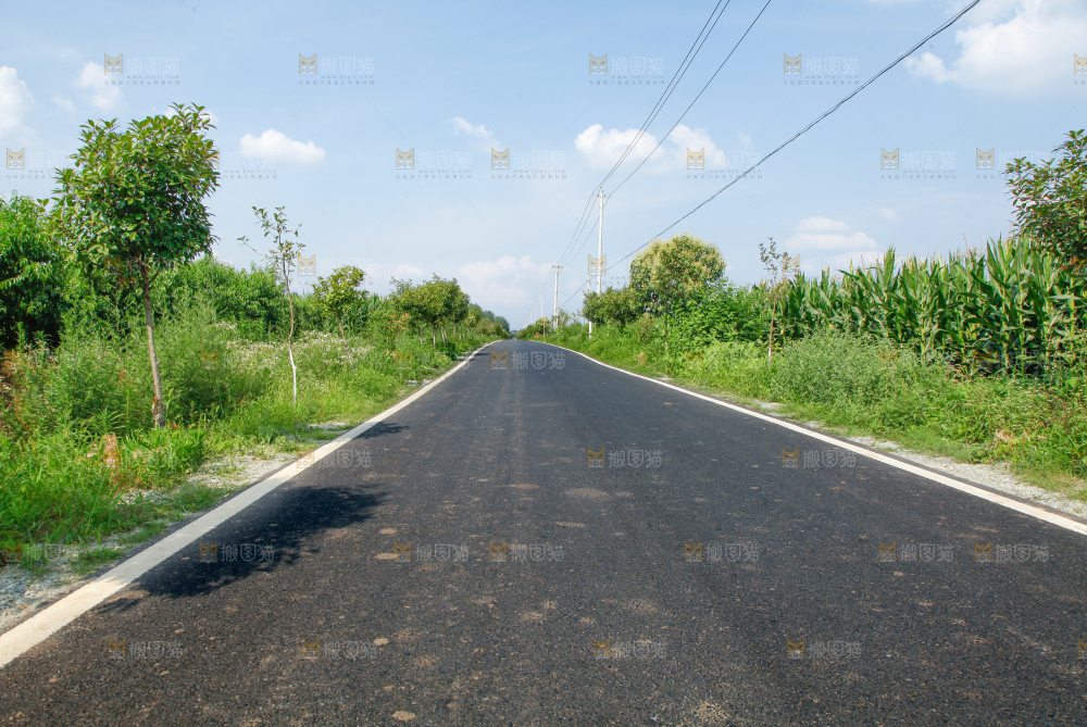 一条马路