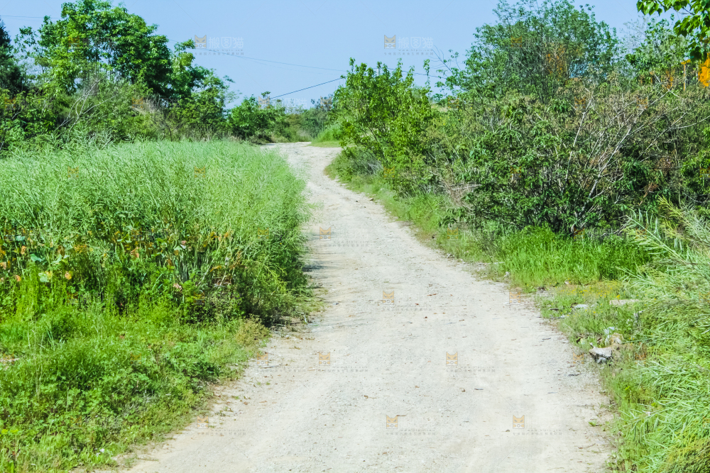 一条乡间小路