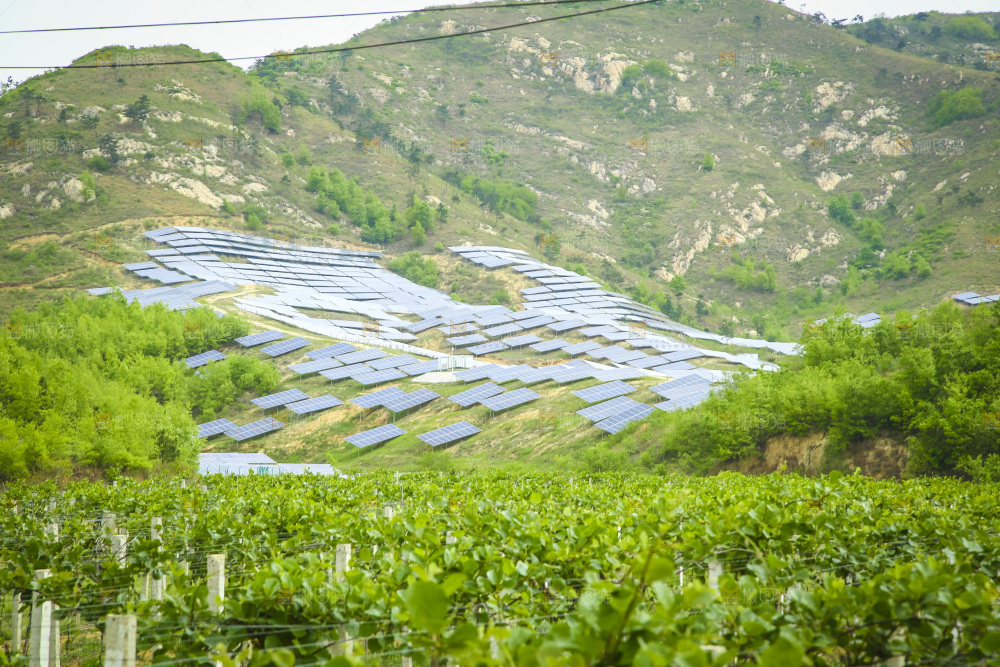 水果种植基地