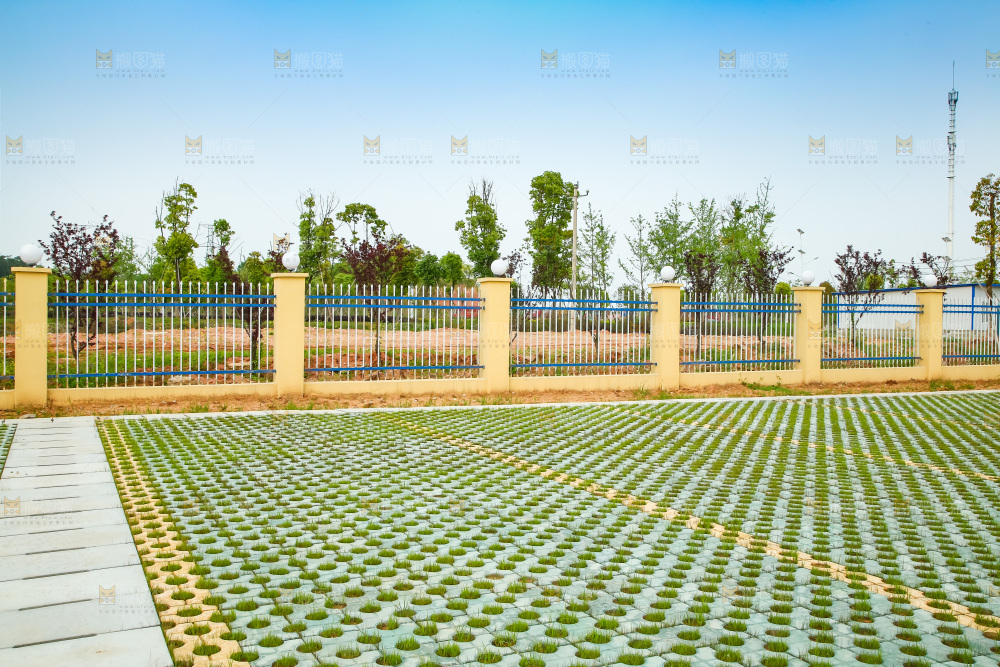 围墙外的一块草地
