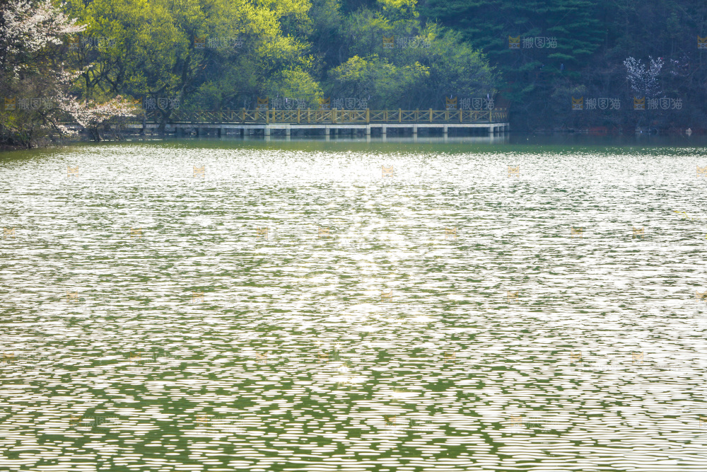 湖泊里的水