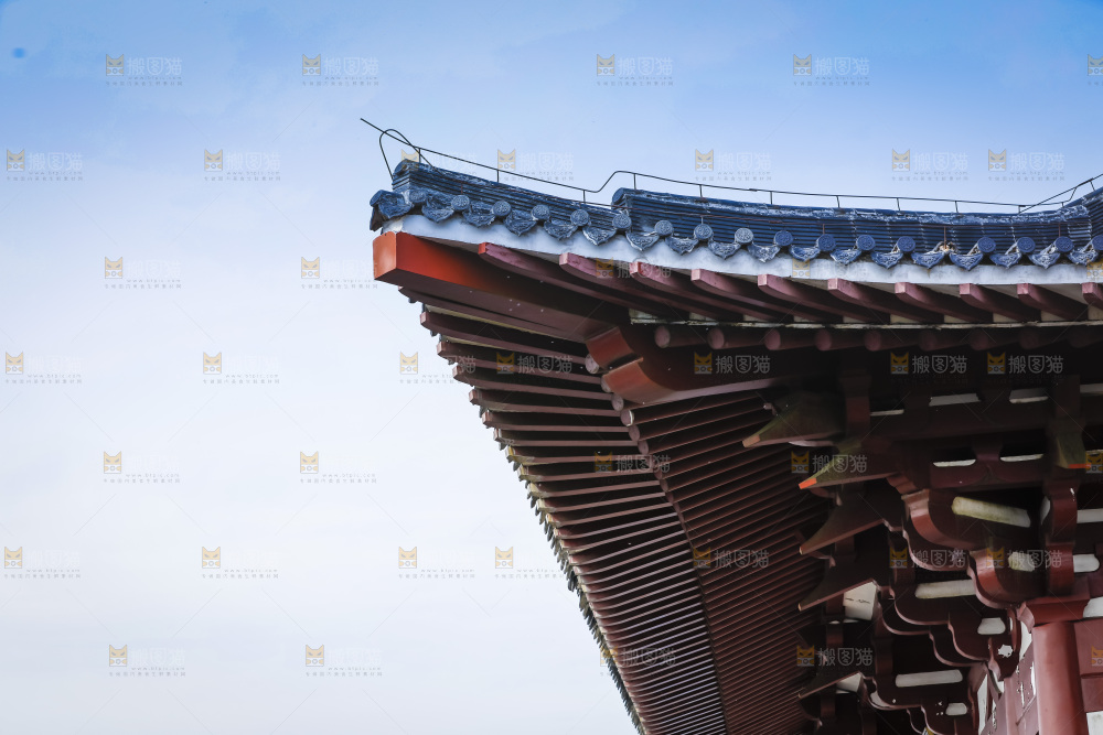 建筑的屋顶