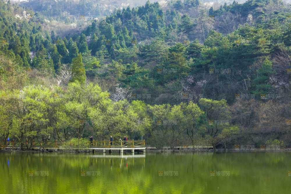湖泊里的水