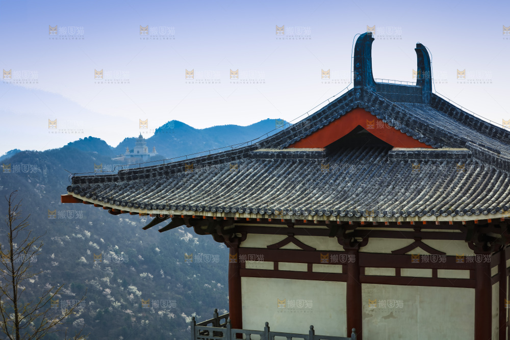 建筑的屋顶