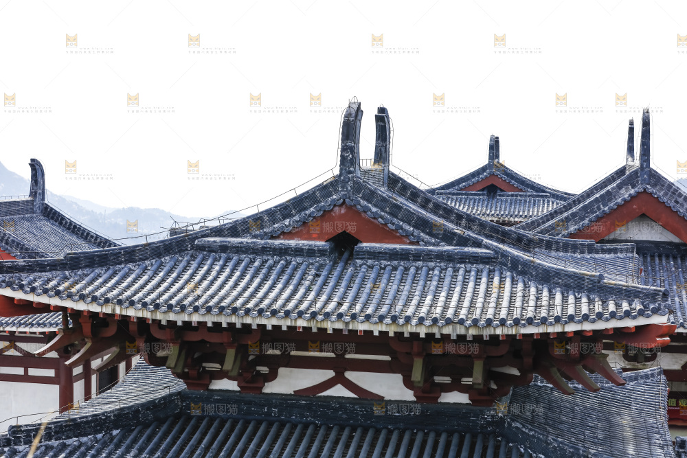建筑的屋顶