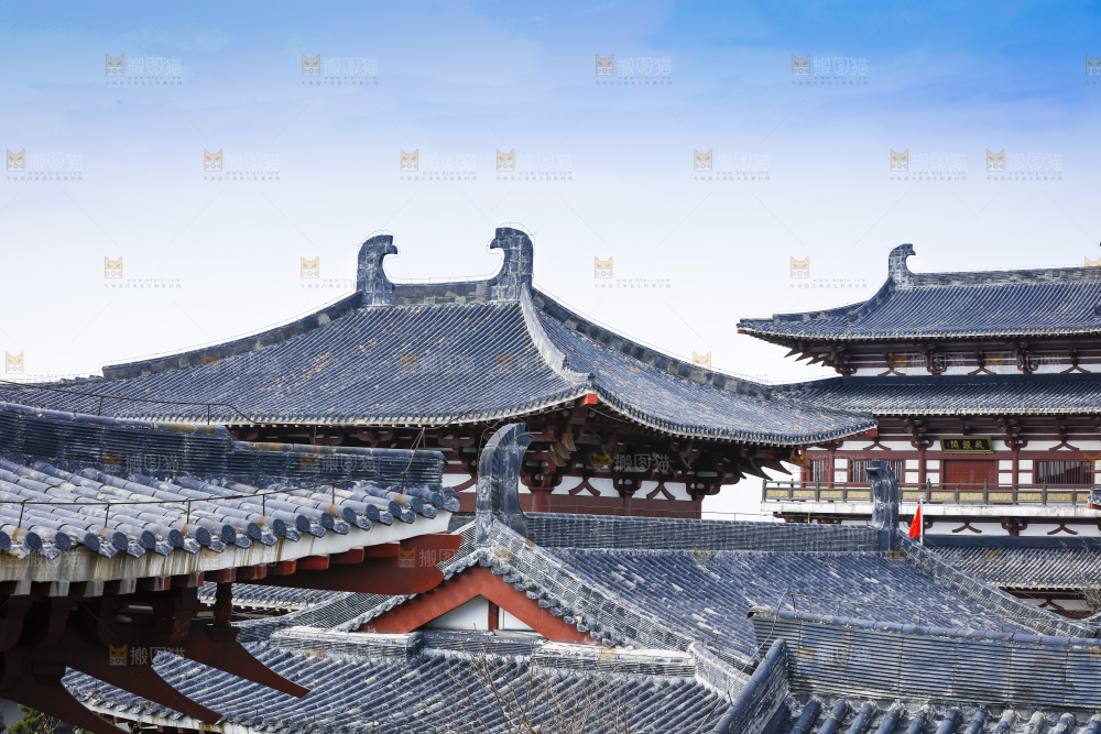 建筑的屋顶