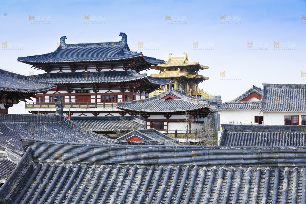 建筑的屋顶
