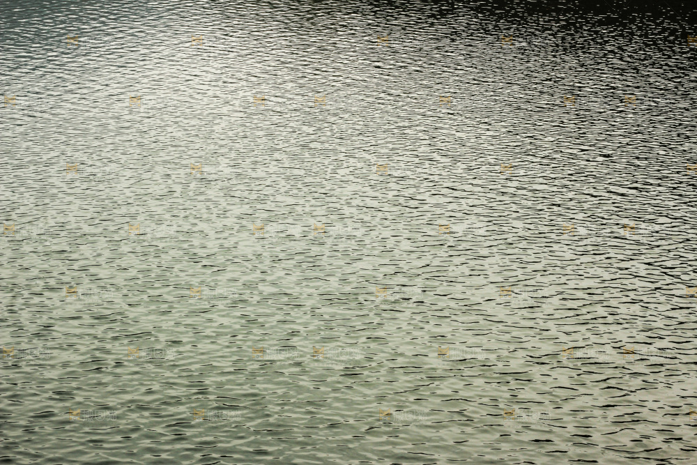 一片湖水