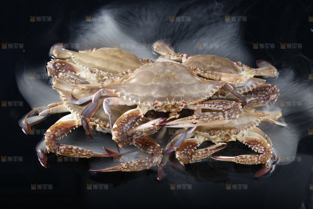 黑底上摆放着海螃蟹