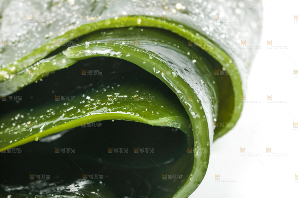 白底上摆放着新鲜海带