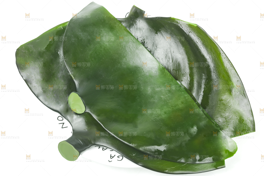 白底上摆放着新鲜海带