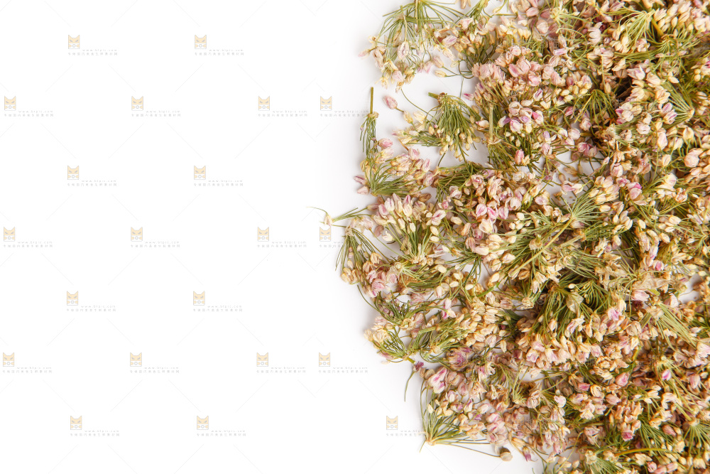 白底上摆放着干扎蒙花