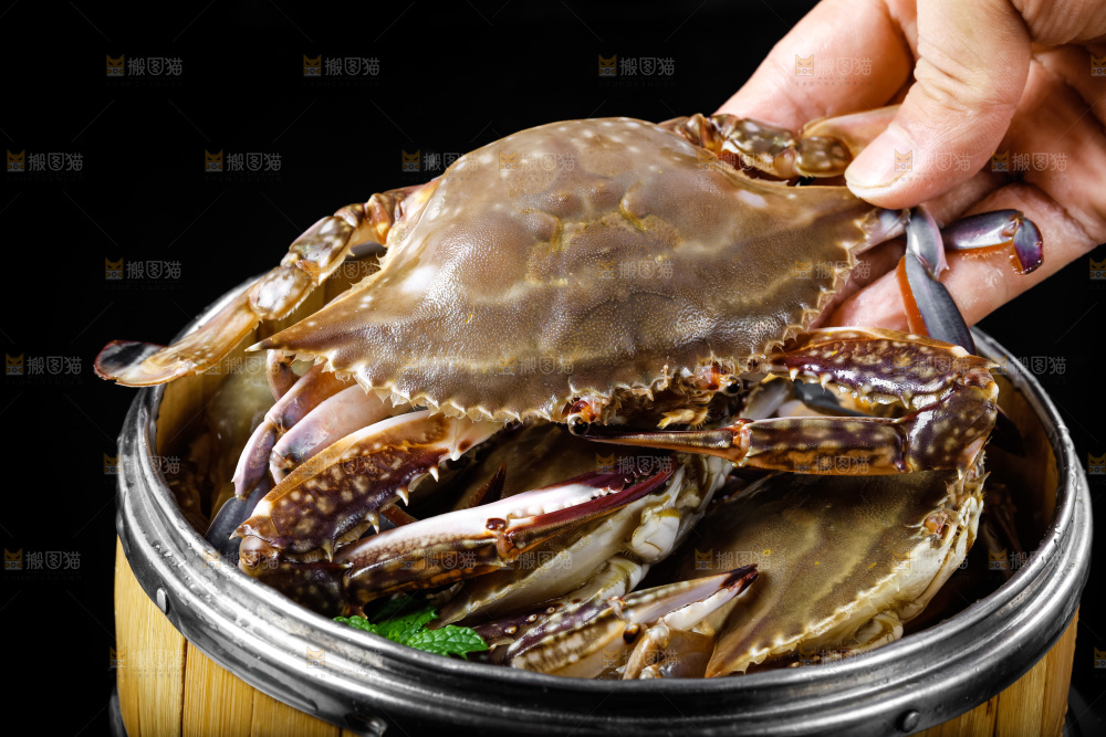 蒸笼里放着梭子蟹