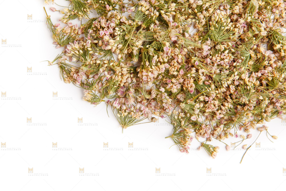 白底上摆放着干扎蒙花