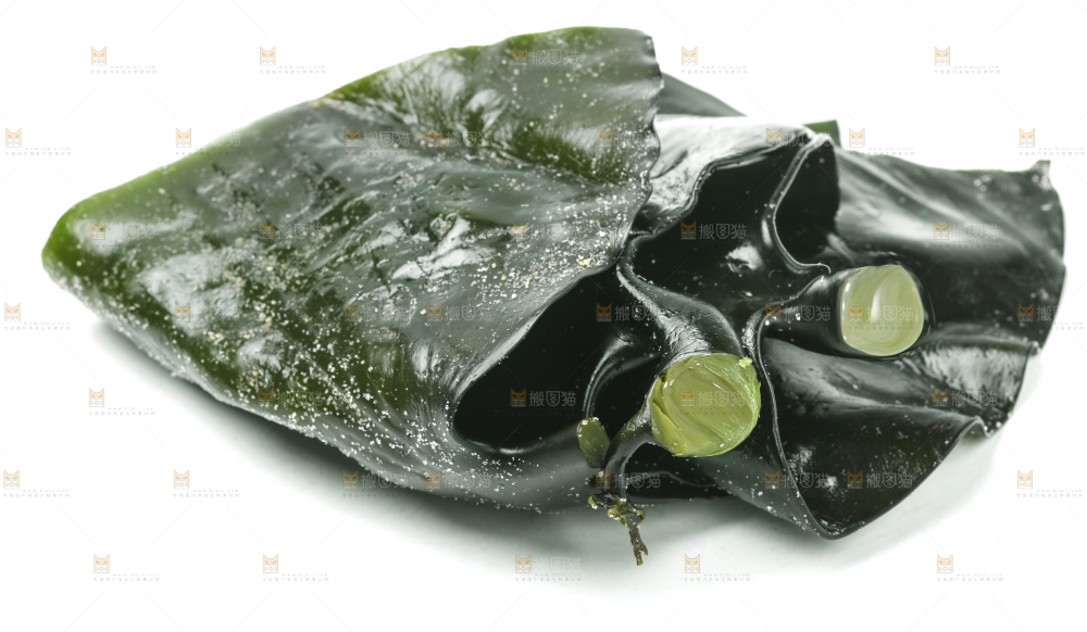 白底上摆放着海带头