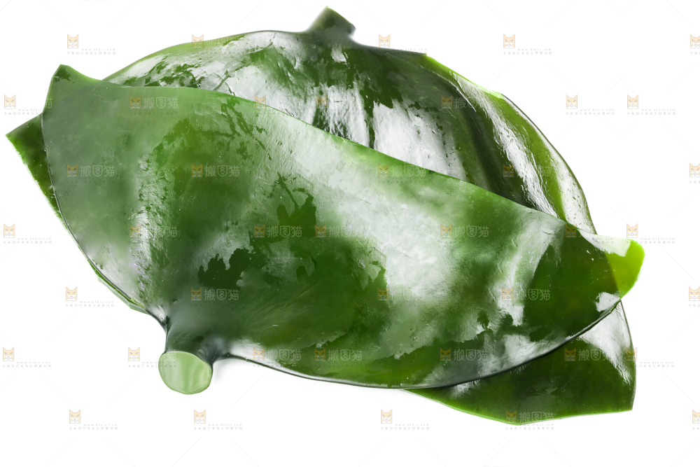 白底上摆放着新鲜海带