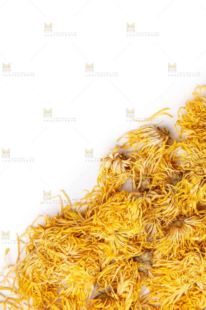 白底上摆放着金丝皇菊