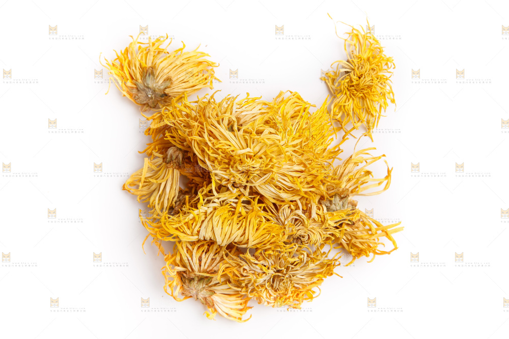 白底上摆放着金丝皇菊