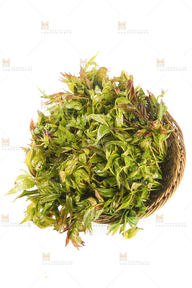 一篮香椿嫩芽