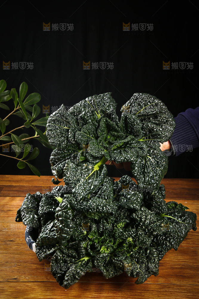手里拿着泡泡青菜