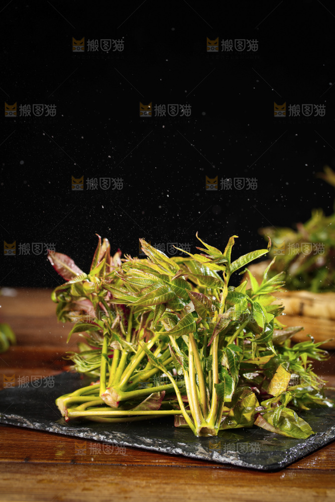黑底上放着新鲜香椿芽