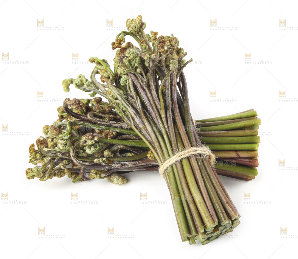 白底上放着野生蕨菜