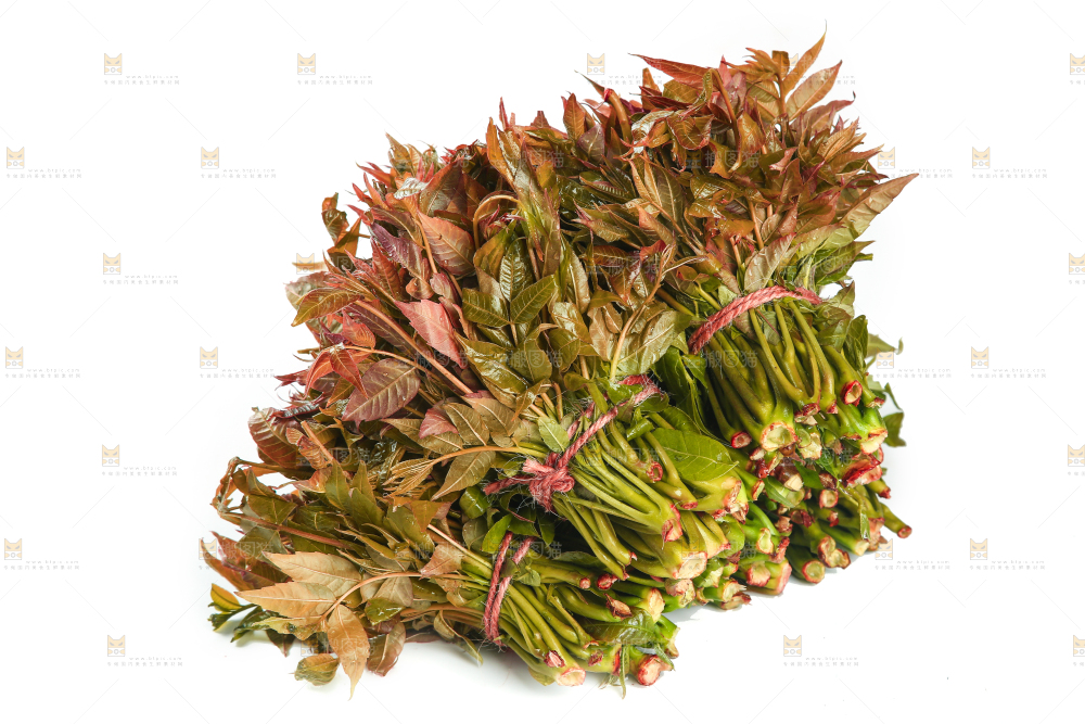 一堆新鲜香椿芽