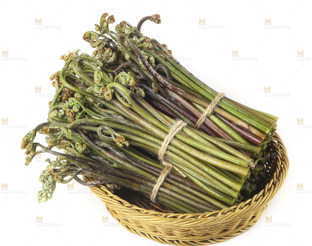 白底上放着一篮新鲜蕨菜