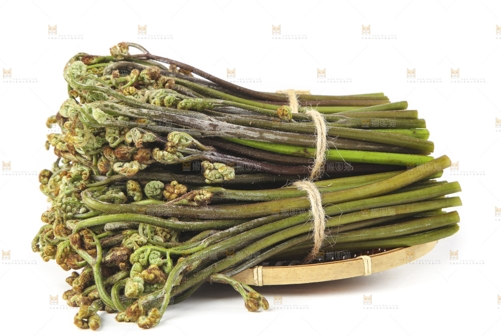白底上放着一篮新鲜蕨菜