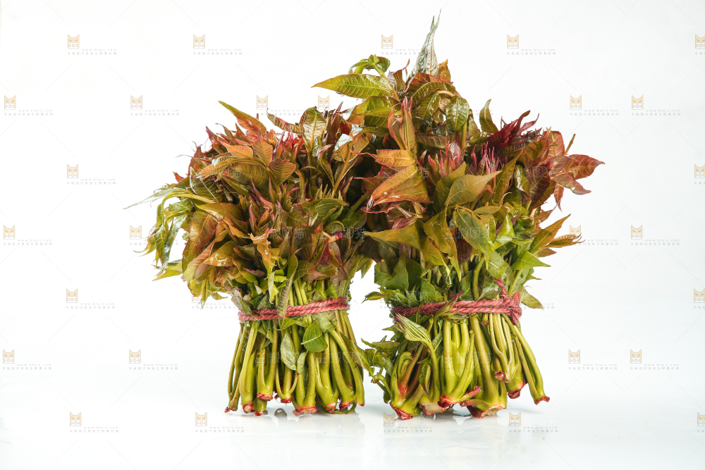 一堆新鲜香椿芽