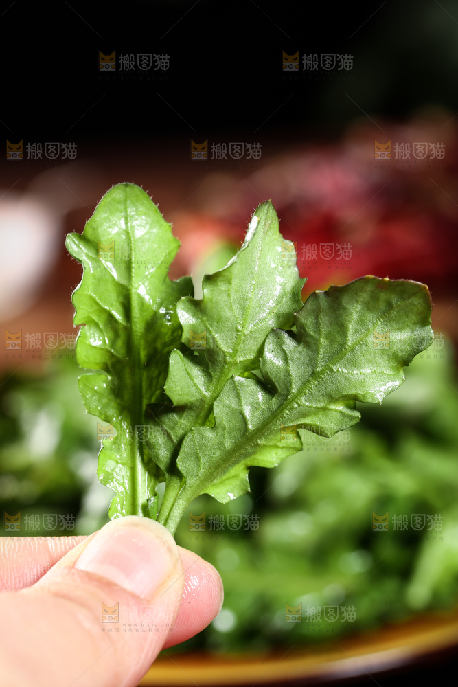 手里拿着地菜
