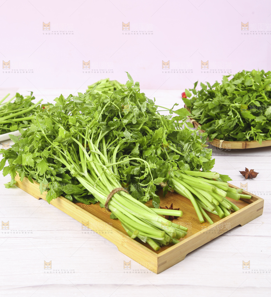 一盘湖南新鲜水芹菜