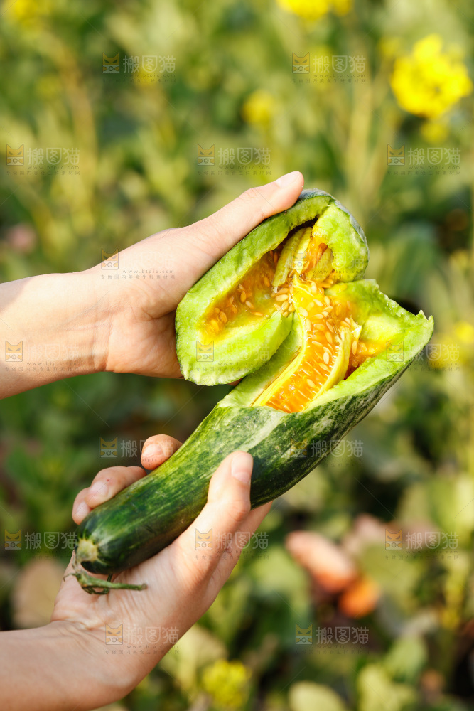 手里拿着羊角蜜甜瓜