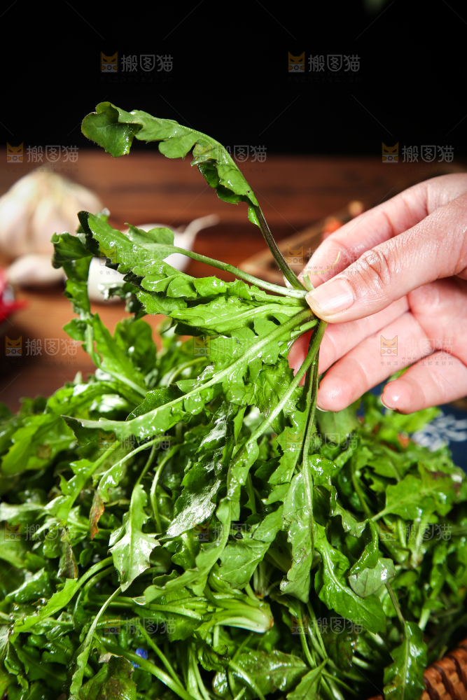 手里拿着地菜