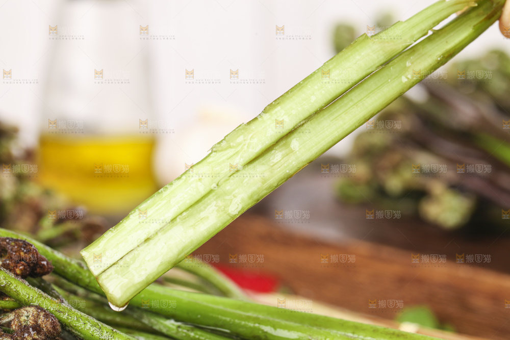 手里拿着蕨菜