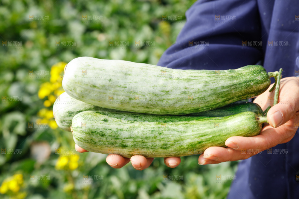 羊角蜜