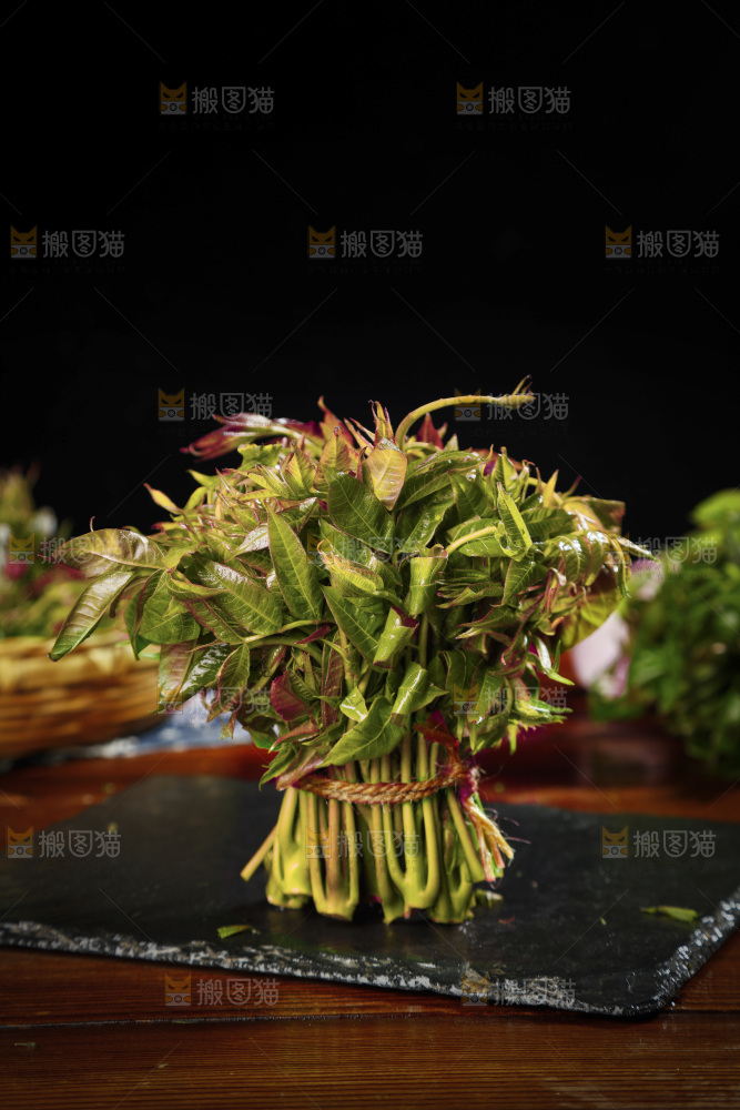 黑石底上摆放着香椿芽