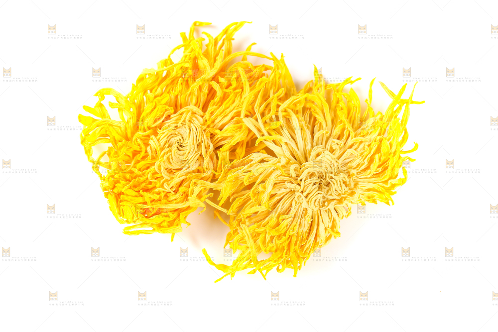 白底上放着金丝皇菊