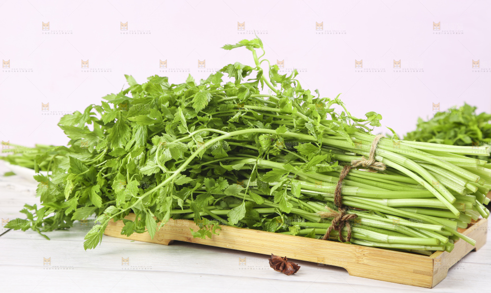 一盘湖南新鲜水芹菜