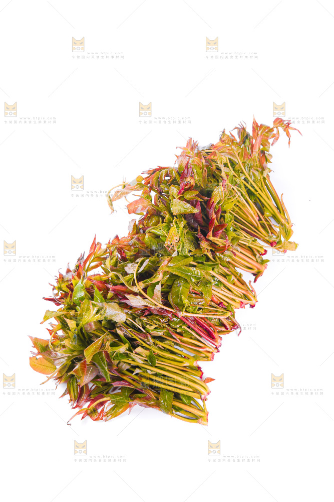 白底上放着头茬香椿