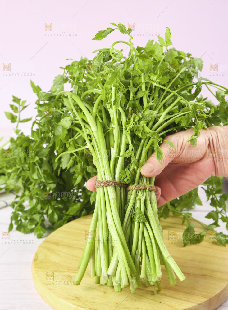手里拿着山芹菜