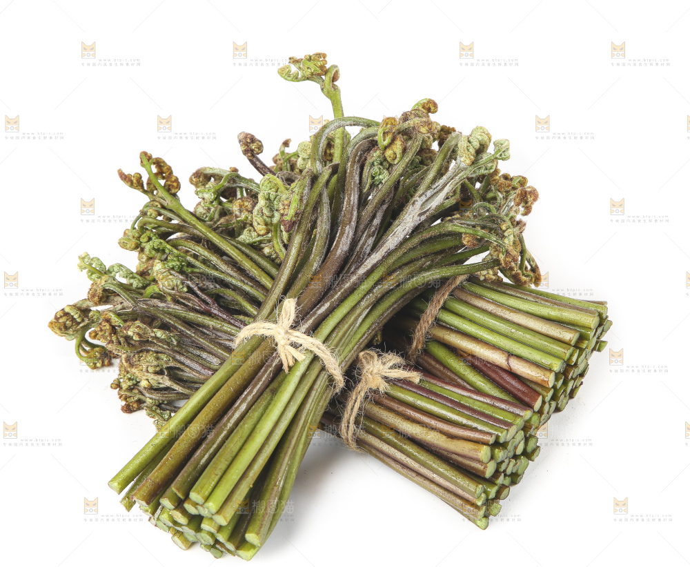 白底上放着野生蕨菜