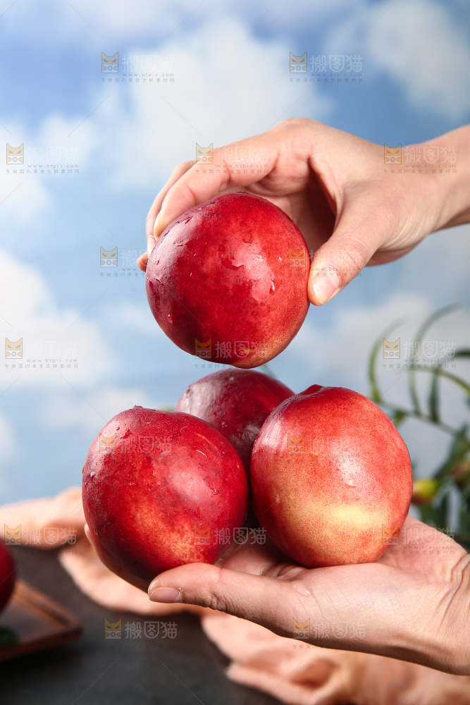 手里捧着新鲜油桃