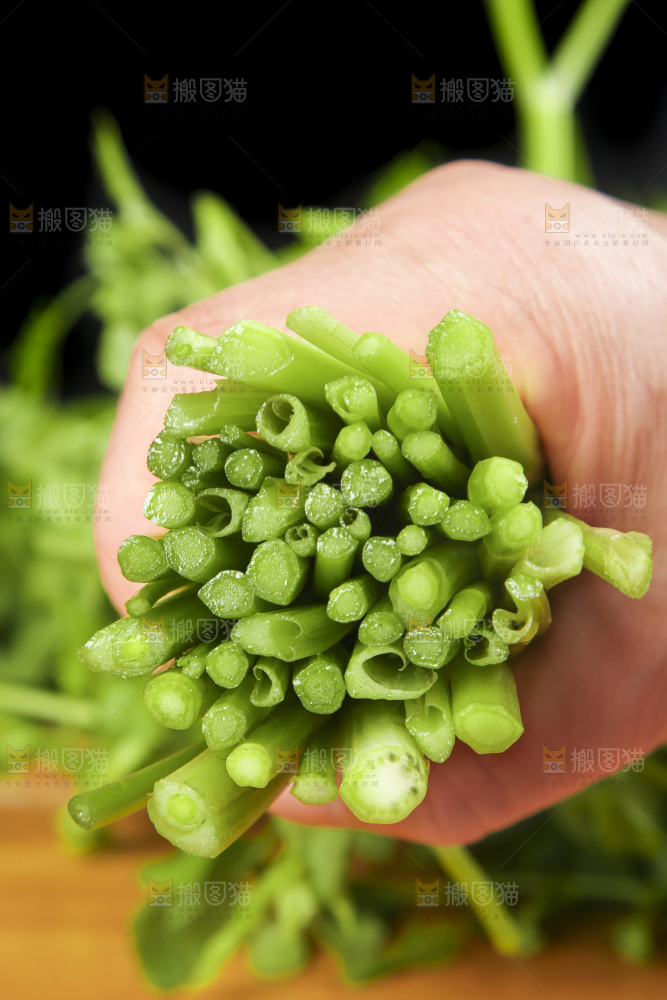 手里拿着野芹菜