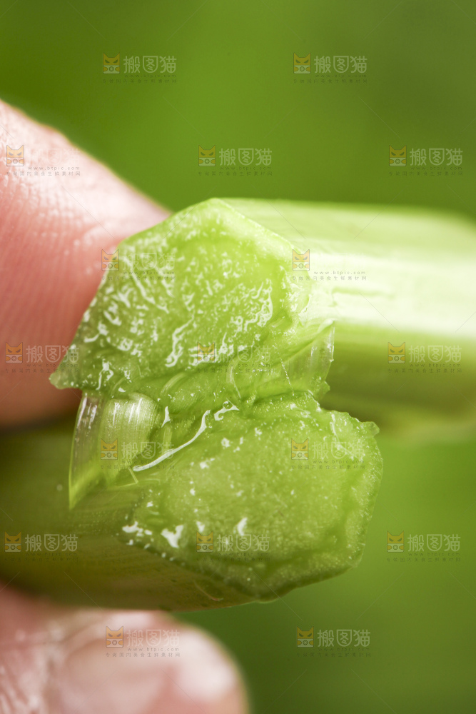 筷子上夹着水芹