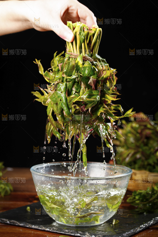 手里拿着头茬香椿芽