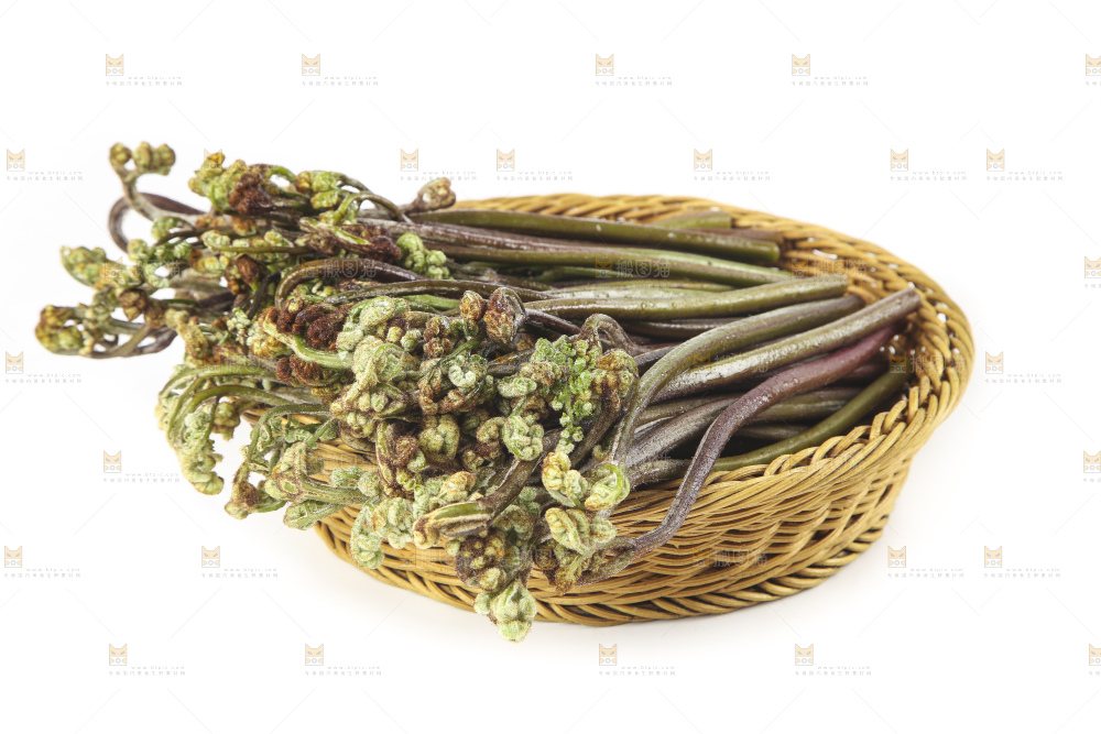 白底上放着一篮新鲜蕨菜